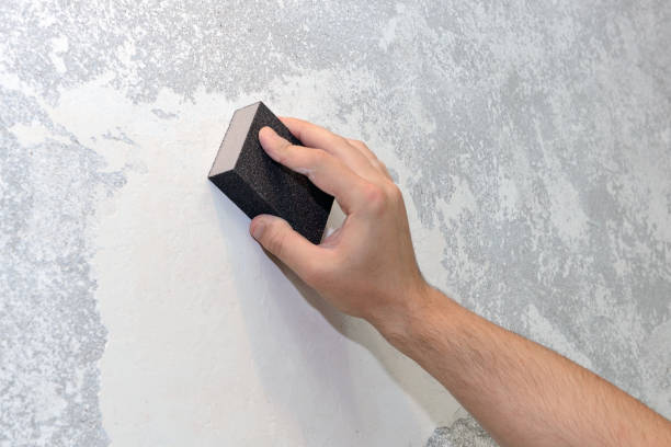 Best Water Damage & Mold Remediation  in West Pleasant View, CO