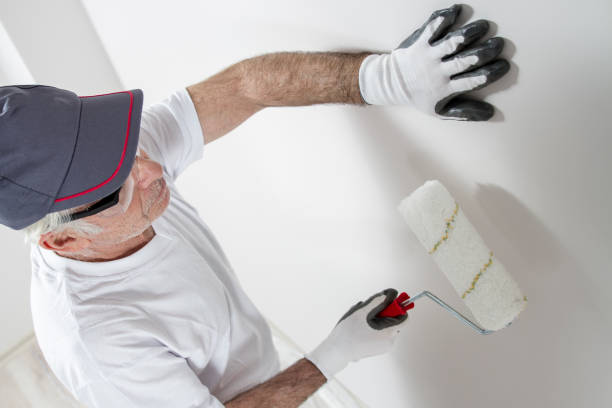 Reliable West Pleasant View, CO Mold Removal Solutions