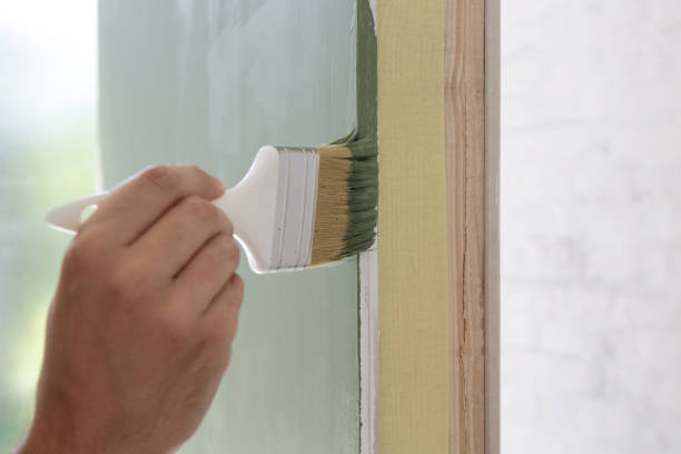 Best Attic Mold Removal  in West Pleasant View, CO