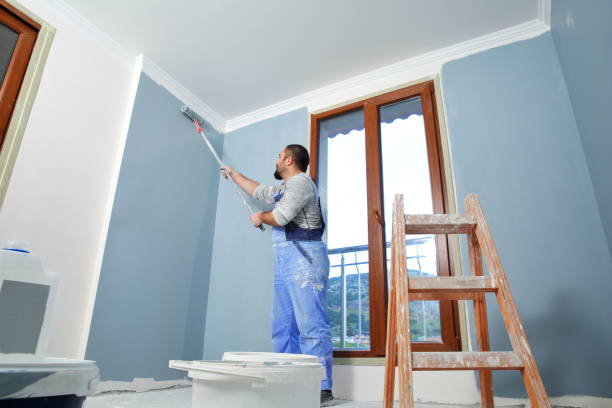 West Pleasant View, CO Mold Removal Company