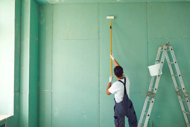 Best Water Damage & Mold Remediation  in West Pleasant View, CO