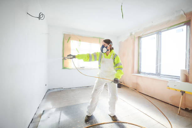 Best Dehumidification Services  in West Pleasant View, CO