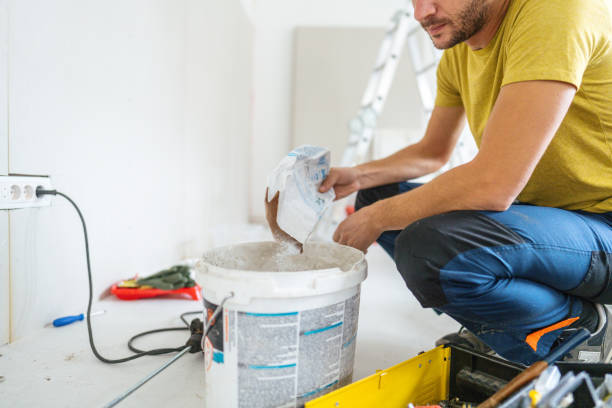 Best Post-Construction Mold Inspection  in West Pleasant View, CO