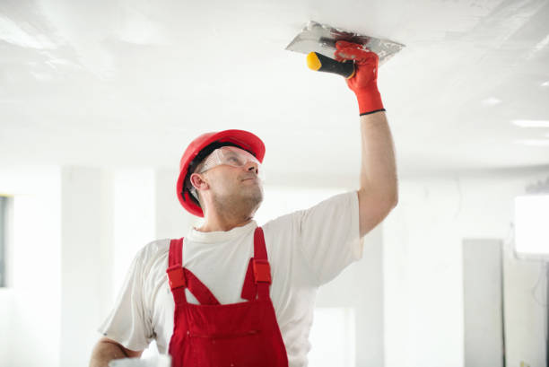 Best Crawl Space Mold Remediation  in West Pleasant View, CO