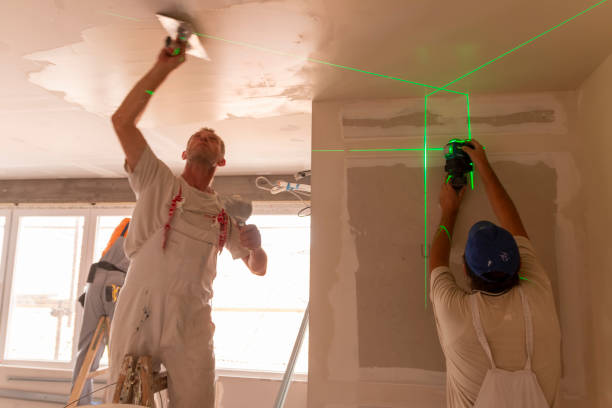 Best Dehumidification Services  in West Pleasant View, CO