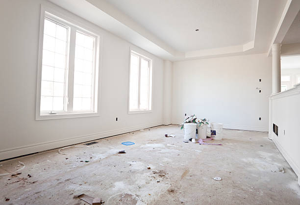 Best Black Mold Removal  in West Pleasant View, CO
