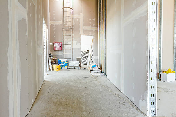  West Pleasant View, CO Mold Removal Pros